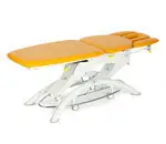 Treatment Table Capre F