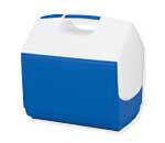 Ice and Cooler