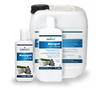 Massage Oil