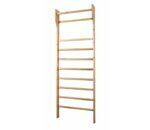 Wall bars