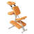 Therapy chair Delta Classic incl. shoulder strap