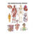 Wall chart - The human body - , LxW 100x70 cm