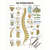 Wall chart - The spinal column - , LxW 100x70 cm