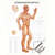 Wall chart - body acupuncture I - , LxW 100x70 cm