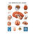 Wall chart - The Brain - , LxW 100x70 cm