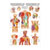 Mini-Poster - trigger points head and torso - , L x W 34x24 cm