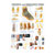 Wall chart - The Foot - , LxW 100x70 cm