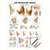 Wall chart - Female breast - LxW 100x70 cm