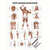 Wall chart - Deep muscle layers-breast - , LxW 100x70 cm