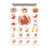 Wall chart - pelvic floor muscles - , LxW 100x70 cm