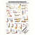 Wall chart - pelvic floor exercises, - LxW 100x70 cm