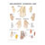 Posters - Hand-Acupuncture - L x W 70x50 cm