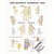 Posters - Hand-Acupuncture - L x W 70x50 cm