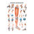 Mini-poster - Lower limb - , LxW 34x24 cm