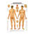 Mini-Poster - acupressure - L x W 34x24 cm