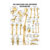 Wall chart - The bones of the upper limb, - LxW 100x70 cm
