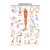 Wall chart - stretching III - , LxW 100x70 cm