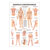 Wall chart - Manual Lymph Drainage - , LxW 100x70 cm