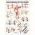 Wall chart - Strength training for your back -, LxW 100x70 cm