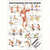 Mini Poster - Strength training for your back -, LxW 34x24 cm