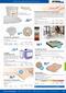 Catalogue:  on Page 235