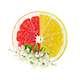 EnergieBoost