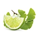 Gingko-Limette