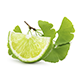 Ginkgo-Limette