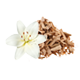 GleichGewicht