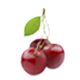 Kirschkerne