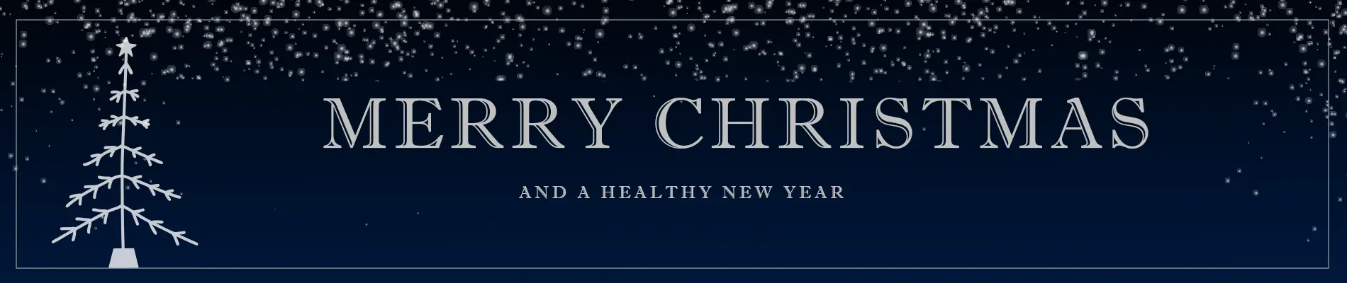 Promo banner: Merry Christmas