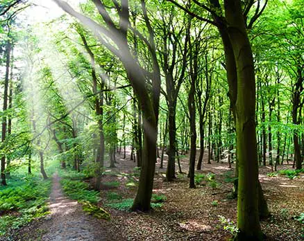 Environmental protection