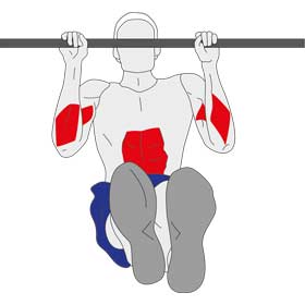 Straight Leg Raise