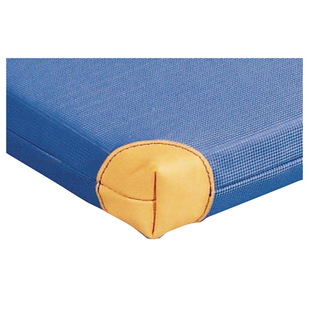 Lightweight gym mat with leather corners, 150x100x8 cm buy online SportTec