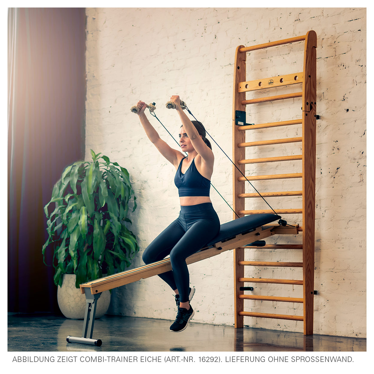 NOHrD CombiTrainer for wall bars, ash buy online SportTec