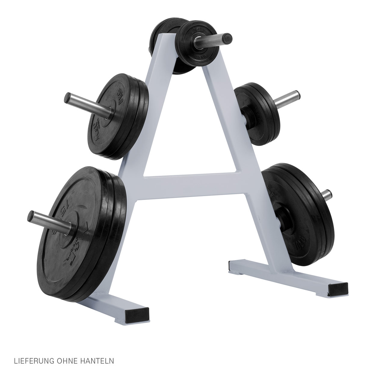 Weight Plate Rack with 6 holders Ø 30.5 mm buy online SportTec