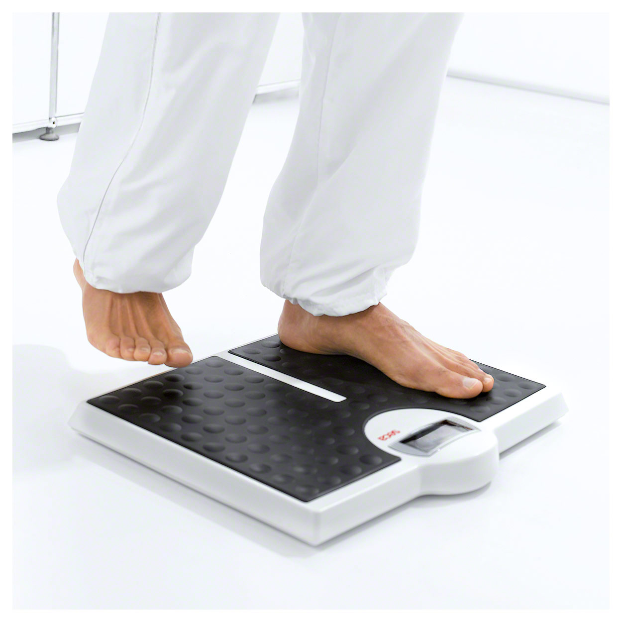 seca bathroom scale Robusta 813 buy online SportTec