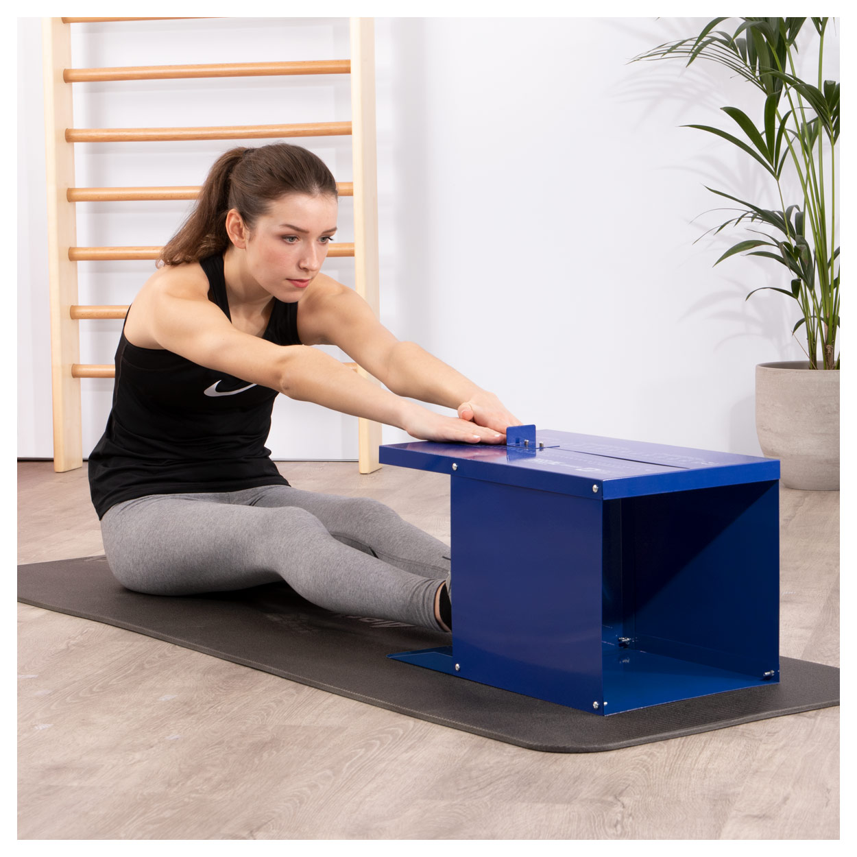 Sit And Reach Test Box