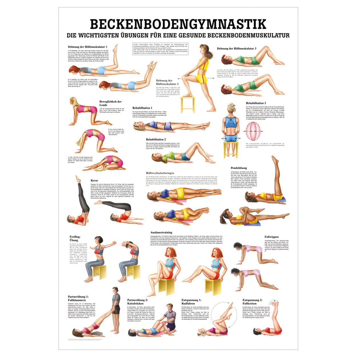 MiniPoster pelvic floor exercises, L x W 34x24 cm buy online