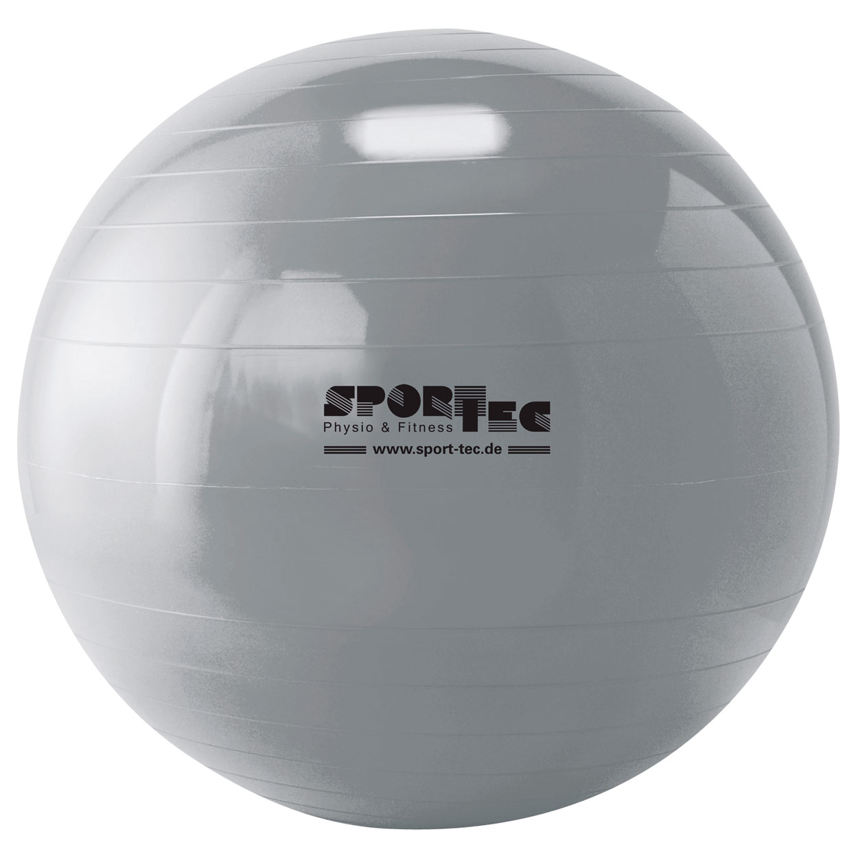 Silver exercise ball 65 cm silver buy online Sport Tec