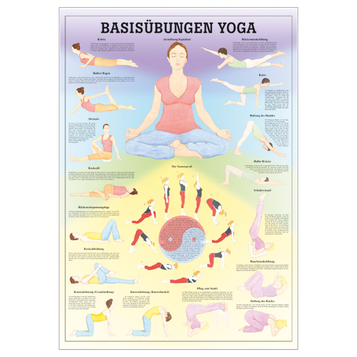 Wall chart basic exercises yoga , LxW 100x70 cm buy online SportTec