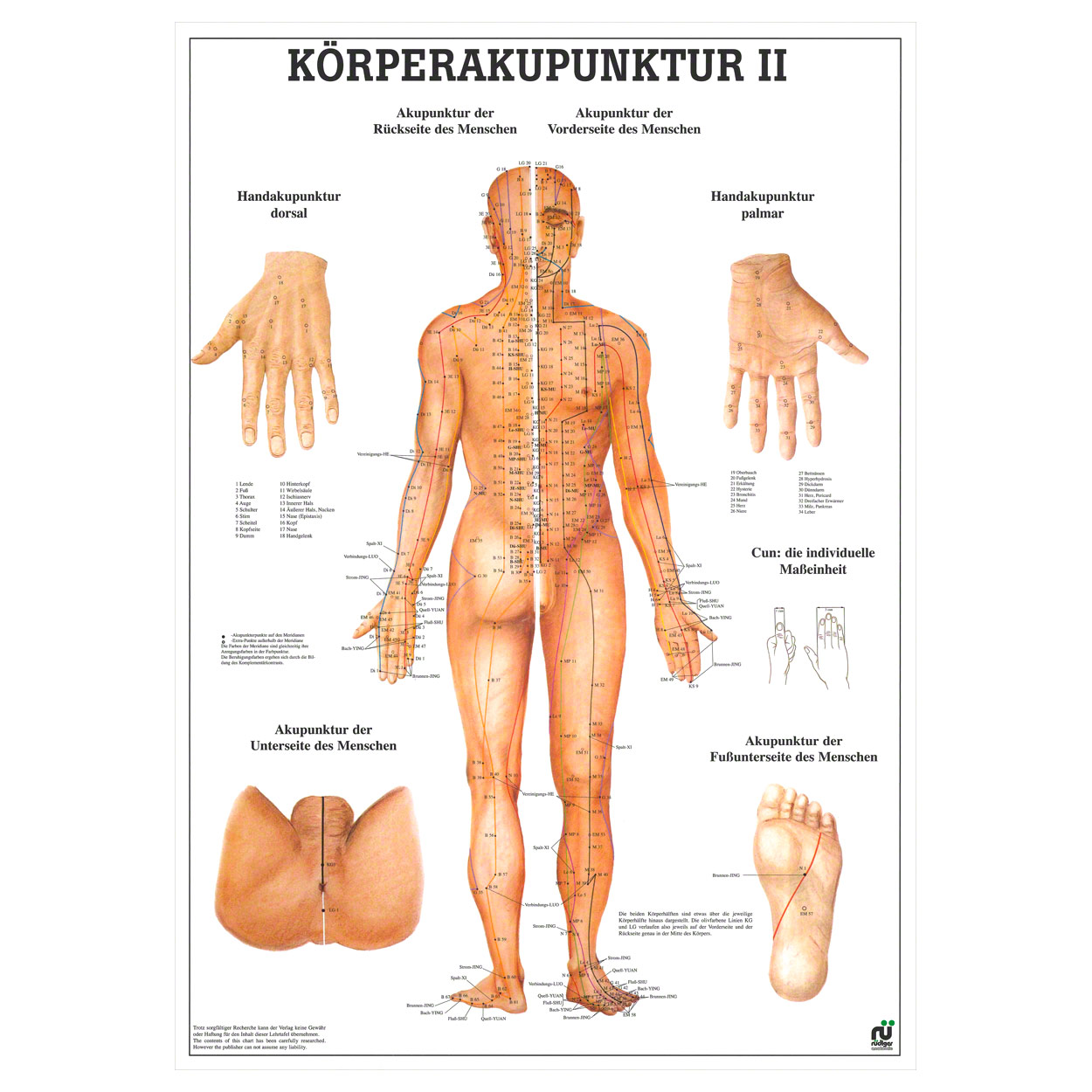 Wall Chart Body Acupuncture Ii Lxw 100x70 Cm Buy Online Sport Tec