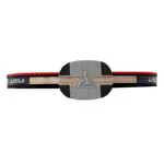 JOOLA table tennis bat CARBON X PRO