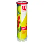 17x Wilson tennisball CHAMPIONSHIP EXTRA DUTY can of 4, incl. drinking bottle