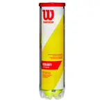 17x Wilson tennisball CHAMPIONSHIP EXTRA DUTY can of 4, incl. drinking bottle