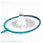 Image shows Badminton racket standard, 66 cm, piece