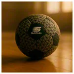 Image shows sunflex Handball NeoGrip, Terra