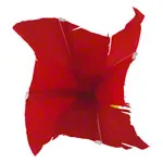 Throwing game Indiaca tournament, 45 g