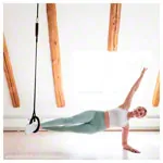 NOHRD Sling Club Sport Sling Trainer