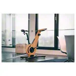 NOHrD bike ergometer oak